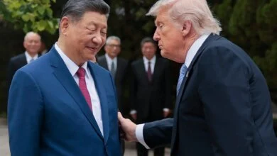How Political 'Big Players' Are Displacing Market Fundamentals in Global Economics 8 Rise of Political Big Players