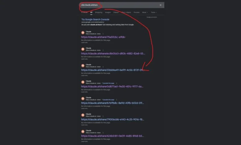Claude AI Shared Chat Leak