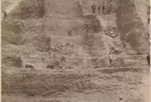 The Imperial History of the Guano Boom