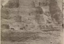 The Imperial History of the Guano Boom