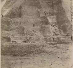 The Imperial History of the Guano Boom