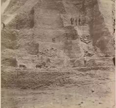 The Imperial History of the Guano Boom