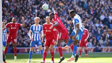 Chelsea Target Brighton Striker Danny Welbeck