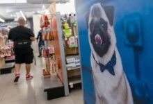 Tractor Supply Cuts Petsense Locations