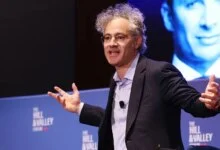 Palantir CEO Warns Against Heavy AI Regulation