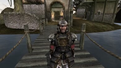 Morrowind Runs Natively in Web Browsers