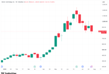 Bitcoin Drops as Tech Stocks Fall
