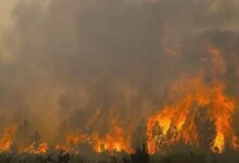 French Wildfires Threaten Defense Sites