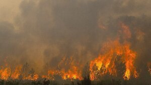 French Wildfires Threaten Defense Sites