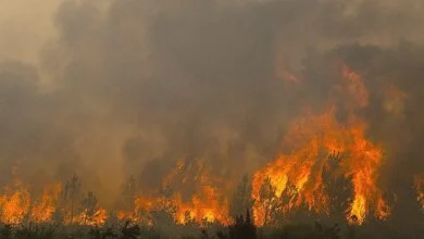 French Wildfires Threaten Defense Sites