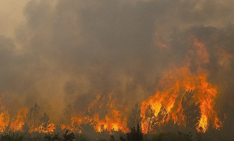 French Wildfires Threaten Defense Sites