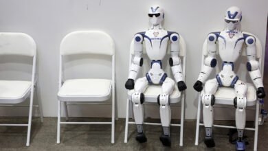 FCC Foreign Robot and Inverter Ban
