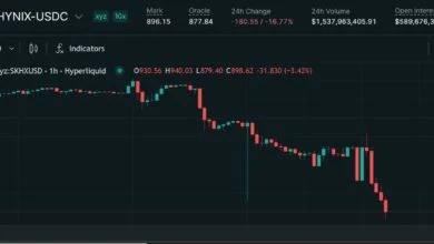 Trade.xyz Covers SK Hynix Liquidation Losses