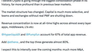 Top Three Crypto Protocols Capture 80% of Revenue as Market Enters Massive Consolidation Phase 6 Crypto Market Enters Major Consolidation Era