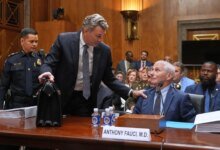 Fauci Invokes Fifth in Senate Hearing