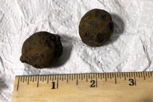 Stolen Cannonballs Found in Airport Luggage
