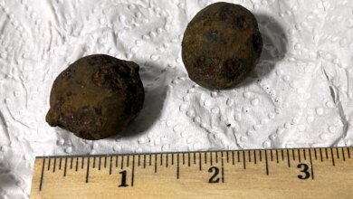 Stolen Civil War Cannonballs Intercepted in Luggage at Alabama Airport 5 Stolen Cannonballs Found in Airport Luggage