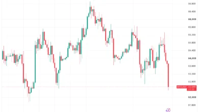 Bitcoin Drops to Two-Week Low