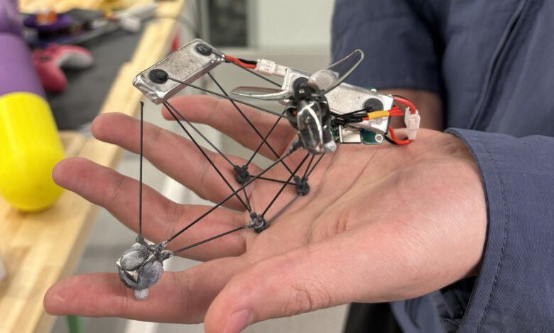 Human Vision Limits Power Stealth Drone