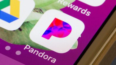 Pandora Premium Subscription Curation Review
