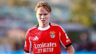 Liverpool, Tottenham, and Chelsea Monitoring Benfica Winger Andreas Schjelderup 2 Premier League Clubs Eye Schjelderup