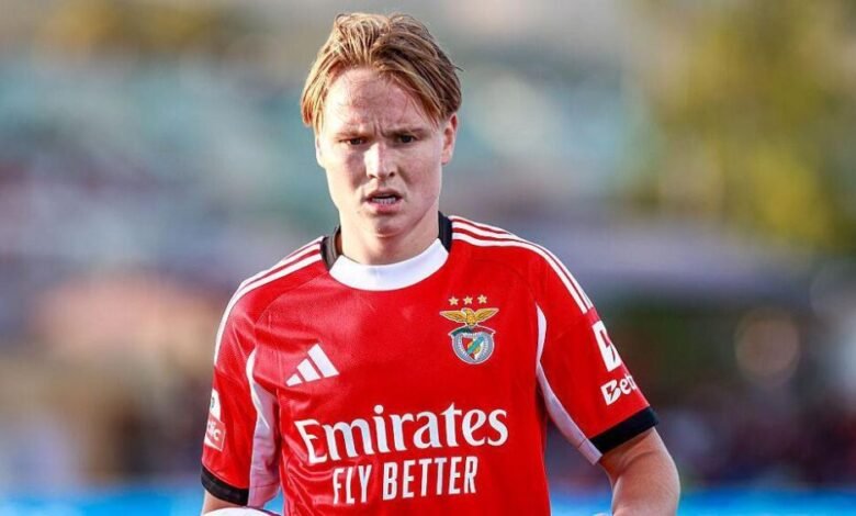 Premier League Clubs Eye Schjelderup