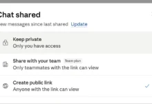 Claude AI Data Leak via Search Engines