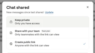 Claude AI Data Leak via Search Engines