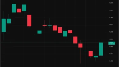 Telegram Native Gram Wallet Launch