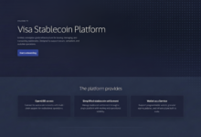 Visa Debuts New Stablecoin Infrastructure