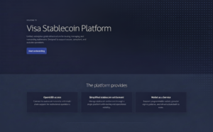 Visa Debuts New Stablecoin Infrastructure