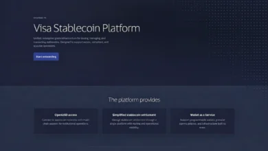 Visa Debuts New Stablecoin Infrastructure