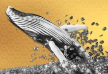 bitcoin whale decrypt style 02 gID 7.jpg@png