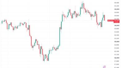 Bitcoin Hits Resistance Amid Tech Sell-Off