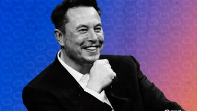 Elon Musk Proposes AI Safety Framework