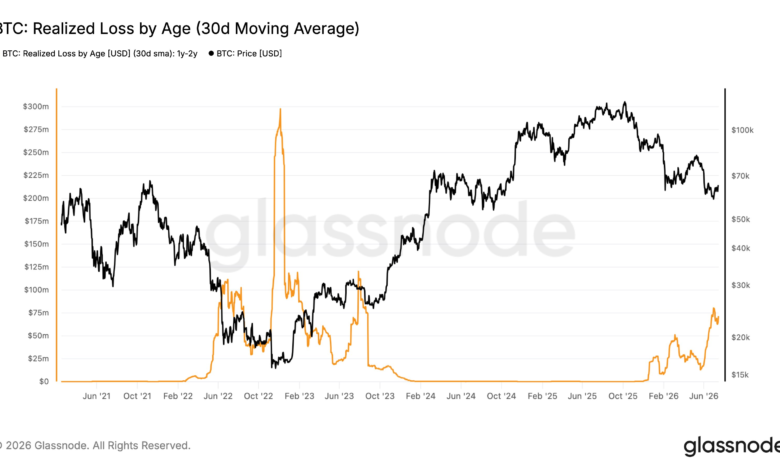 Bitcoin Cycle Peak Buyers Signal Potential Macro Bottom as Realized Losses Cool Down 1 hnugcrwuaabtuw