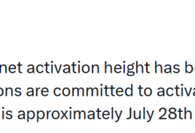 Zcash Sets Ironwood Activation for July 28 to Resolve Systemic ‘Infinity Bug’