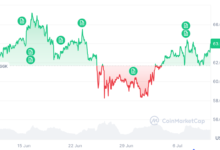 Bitcoin’s ‘Garden-Variety’ Downturn Signals Maturing Market Cycle