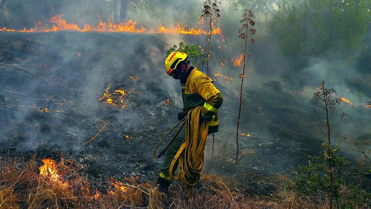 Southwestern Europe Fire Crisis Forces Mass Evacuations Across France and Spain 3 Firefighter carries hose while battling wildfire in Spain.