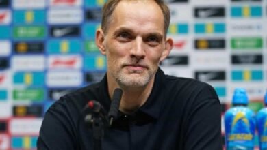England vs Argentina Semi-Final Preview