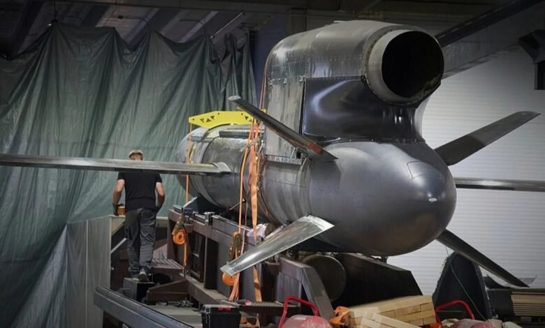 Ukraine's High-Speed Flamingo FP-5 Missile