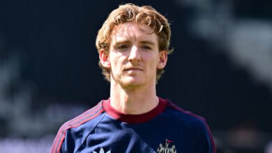 Tottenham Target Liverpool Attacker Cody Gakpo