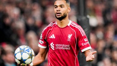 Tottenham Hotspur Explore Cody Gakpo Move as Liverpool Hold Firm Stance 3 Tottenham Targets Cody Gakpo Transfer