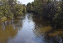 Micron $100B Megafab PFAS Permit Lawsuit