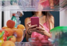 Fridge Cooling Hack Ruins Overheating Phones