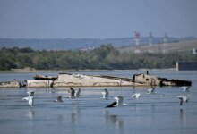 Danube Drought Exposes WWII German Warships
