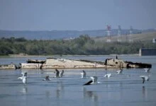 Danube Drought Exposes WWII German Warships