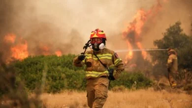 Fatal Crash in Greece and Record Drought in UK Highlight Escalating European Fire Emergency 5 European Wildfire and Drought Emergency