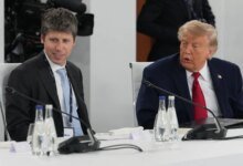 U.S. AI Policy Drives Shift to Chinese Models