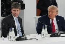 U.S. AI Policy Drives Shift to Chinese Models